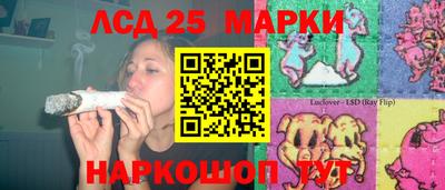 молекула духа Будённовск