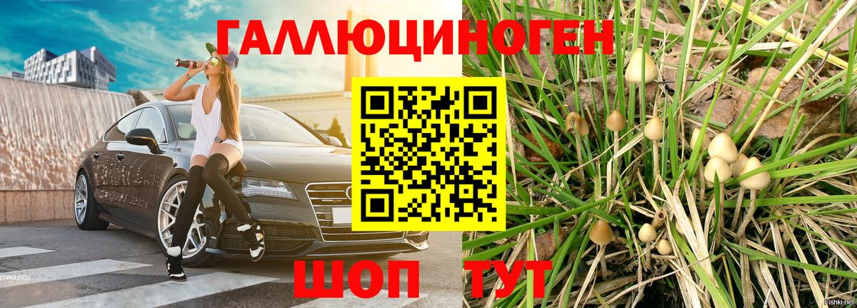 Галлюциногенные грибы ЛСД  Вход с VPN  цены   Пугачёв 